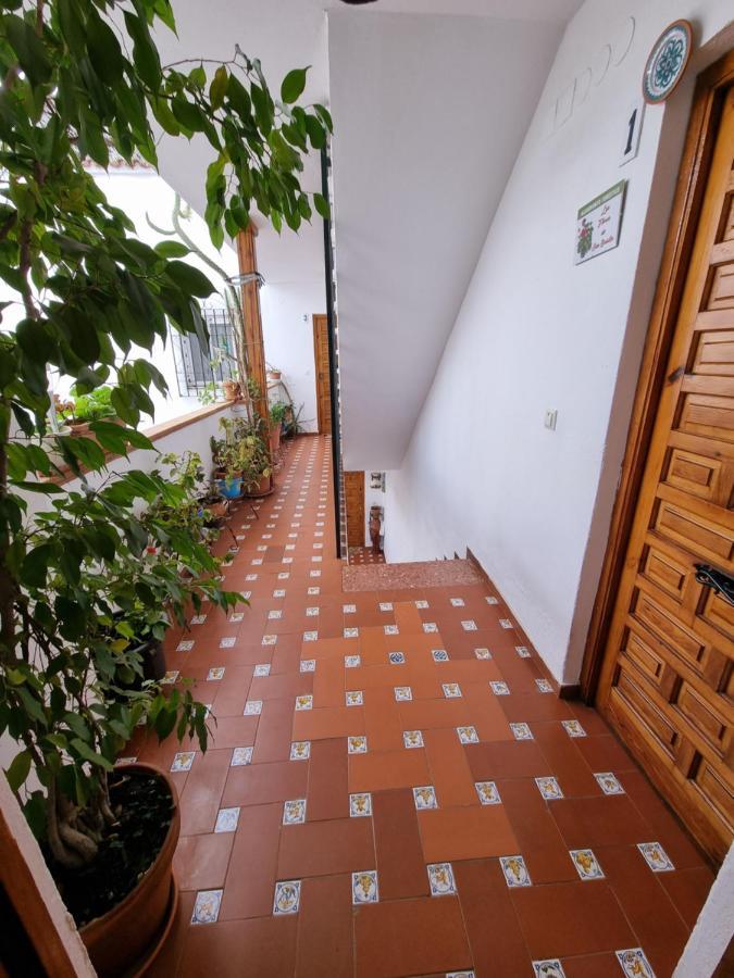 Apartamento Entre Patios San Basilio Apartment Córdoba Exterior foto